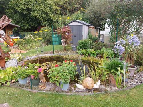 Gartenteich - 