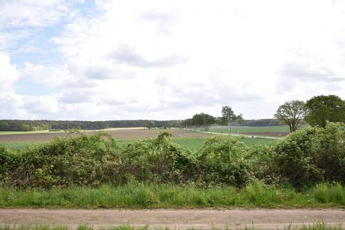 Bild 14 - 