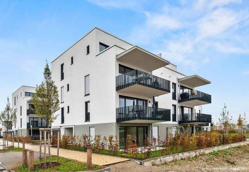 Bild 15 - 