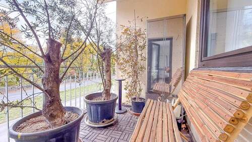 Balkon - 