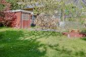 Garten mit Gartenhäuschen und Ostbäumen - 5 Zimmer Reihenmittelhaus in Berlin