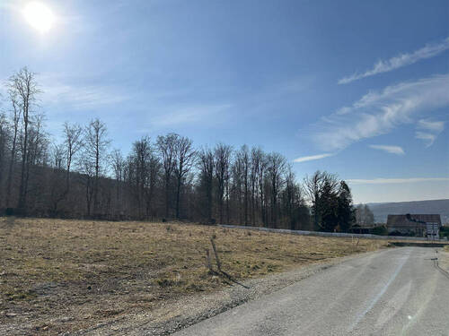 Bild3 - Grundstück in Hann. Münden