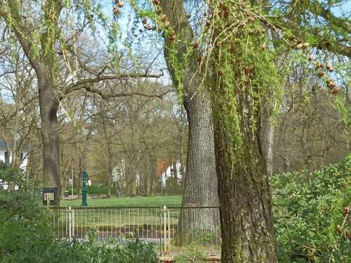 Bild 3 - Grundstück in Berlin