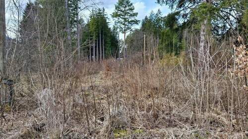 Bild 1 - Grundstück zum Kaufen in Füssen