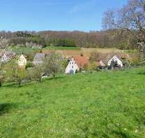 Herrl. Baugrundstück zw. Lauf u. HEB - Reichenschwand Leuzenberg