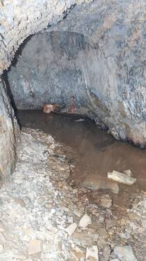 Bunker - 