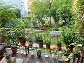 Blick zum Gemeinschaftsgarten - 