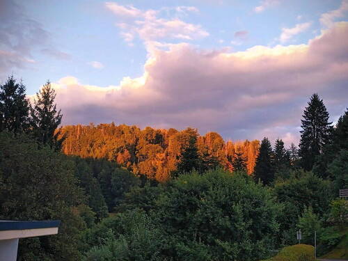 Bild 1 - Idyllisch gelegene DHH nache Bad Steben!