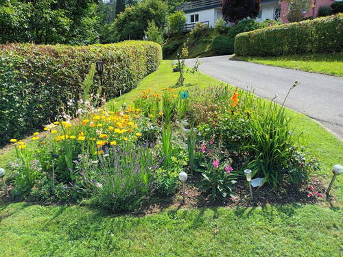 Bild 7 - 