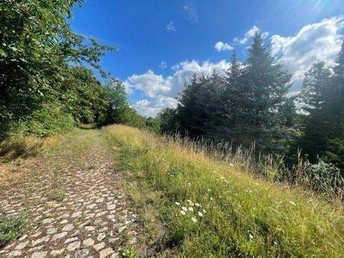 Bild 3 - +++ Großes Grundstück in Wethau +++