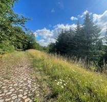 +++ Großes Grundstück in Wethau +++