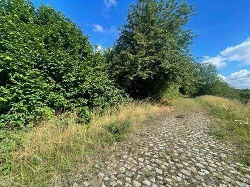 Bild 2 - Grundstück in Wethau