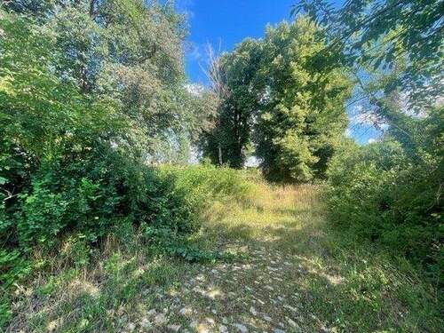 Bild 4 - Grundstück in Wethau zum Kaufen