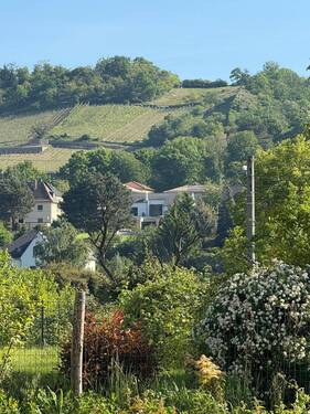 Weinbergfernblick - 3 Zimmer Etagenwohnung zum Kaufen in Radebeul
