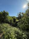 Gartenausblick - 