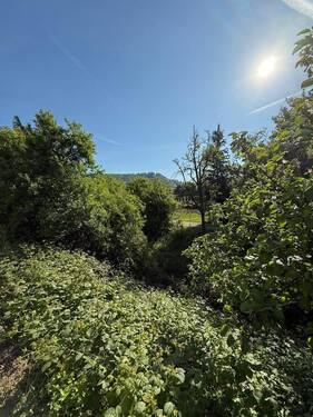 Gartenausblick - 