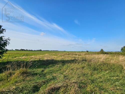 20240917_170534 - Grundstück in Bunde zum Kaufen