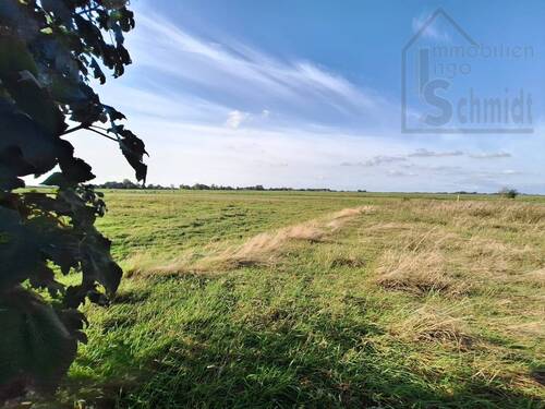 WhatsApp Image 2024-12-09 at 10.25.26 - 