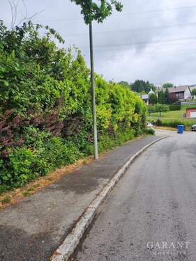 IMG-20250523-WA0017 - Grundstück in Vilshofen-Alkofen