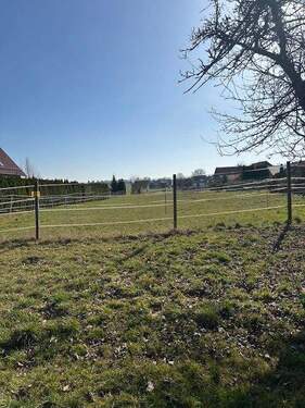 IMG_9421.jpeg - Großzügiges Grundstück in Harste