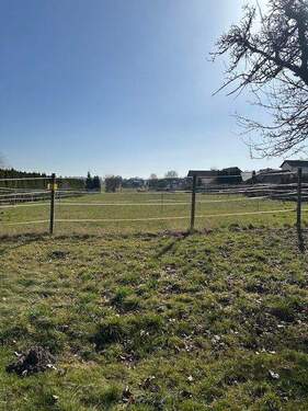 IMG_9422.jpeg - Grundstück zum Kaufen in Bovenden