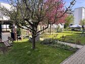Garten - 3 Zimmer Etagenwohnung in Gera
