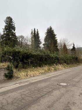 Bild 1 - Baugrundstück in Waldrandlage in St. Ingbert-Reichenbrunn zu verkaufen