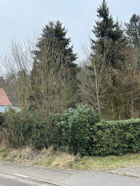 Bild 4 - Grundstück in St. Ingbert zum Kaufen