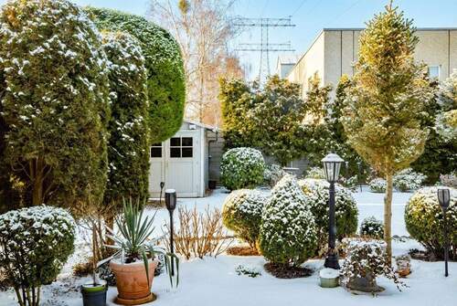 Gartenansicht Himmel KI unterstützt - 