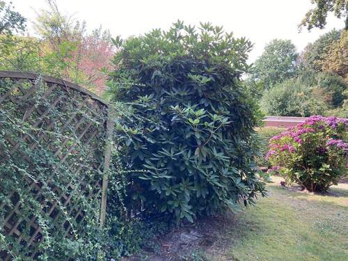 Blick von der Terrasse - 