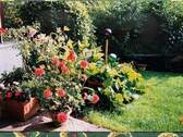 Gartenblick hinterer Eingang - 