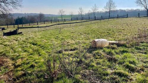 Zusatz Grundstück - 
