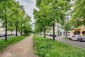 Grünfläche Straße - 