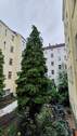 20200818_104550.jpg - 