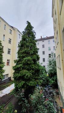 20200818_104550.jpg - 
