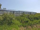 Gewächshaus - Mehrfamilienhaus, Wohnhaus mit 212,00 m² in Elpersbüttelerdonn zum Kaufen