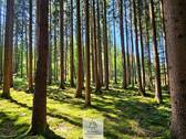 waldverkauf-augsburg_02.jpg - Grundstück in Gessertshausen zum Kaufen
