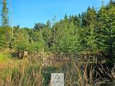 20250812_162656.jpg - 