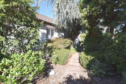 Vorgarten - 7 Zimmer Einfamilienhaus zum Kaufen in Limburgerhof