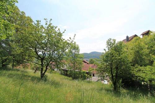 Grund mit Obstbaumbestand - 