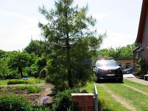 Einfahrt Grundstück - 