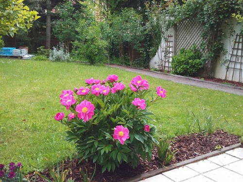 Garten - Möblierte 2 Zimmer Wohnung mit Garten im Osten von München, S4 S6