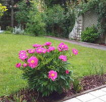 Möblierte 2 Zimmer Wohnung mit Garten im Osten von München, S4 S6 - Zorneding bei München