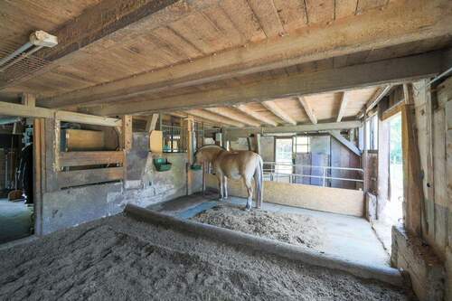 Innenansicht Hausstall - 