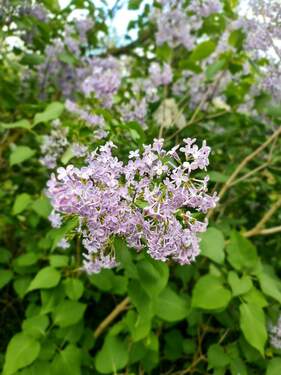 Der Frühling kann kommen! - 