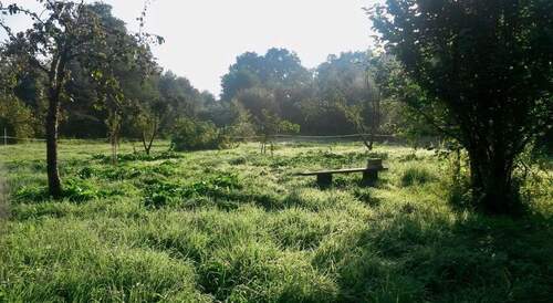 Wunderschöner Fliess-ganzjähri - 4.340 m² Natur-Refugium in Biesenthal: Ihr privater Safe Haven mit Fließ