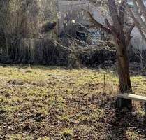 4.340 m² Natur-Refugium in Biesenthal: Ihr privater Safe Haven mit Fließ