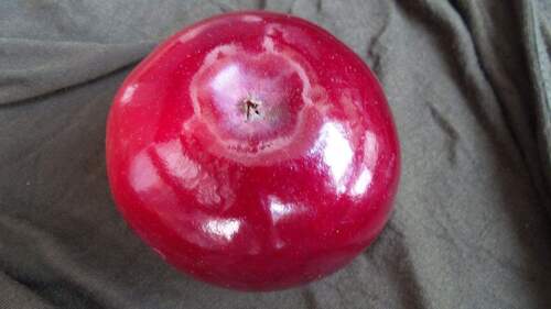 Alte Apfelsorten - Grundstück in Biesenthal zum Kaufen