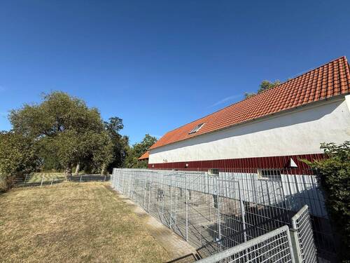 IMG_1318.jpeg - Mehrfamilienhaus, Wohnhaus mit 160,00 m&sup2; in Lützen zum Kaufen