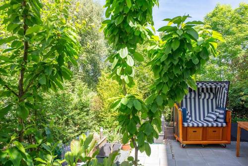 Garten - 